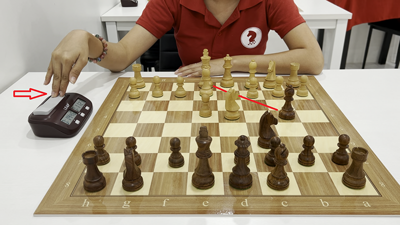 Chess: The Opponent's Next Move 